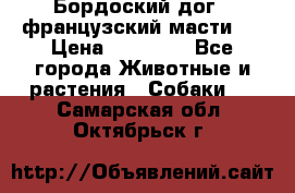 Бордоский дог ( французский масти)  › Цена ­ 50 000 - Все города Животные и растения » Собаки   . Самарская обл.,Октябрьск г.